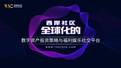 西岸社区-全球化数字资产投资策略与福